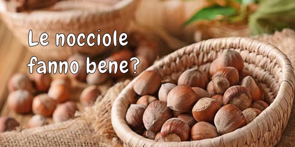 le nocciole fanno bene